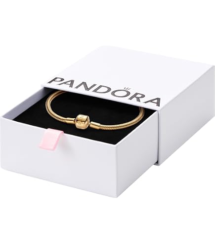 Amazon.com: PANDORA Moments Snake Chain Slider Bracelet - Charm